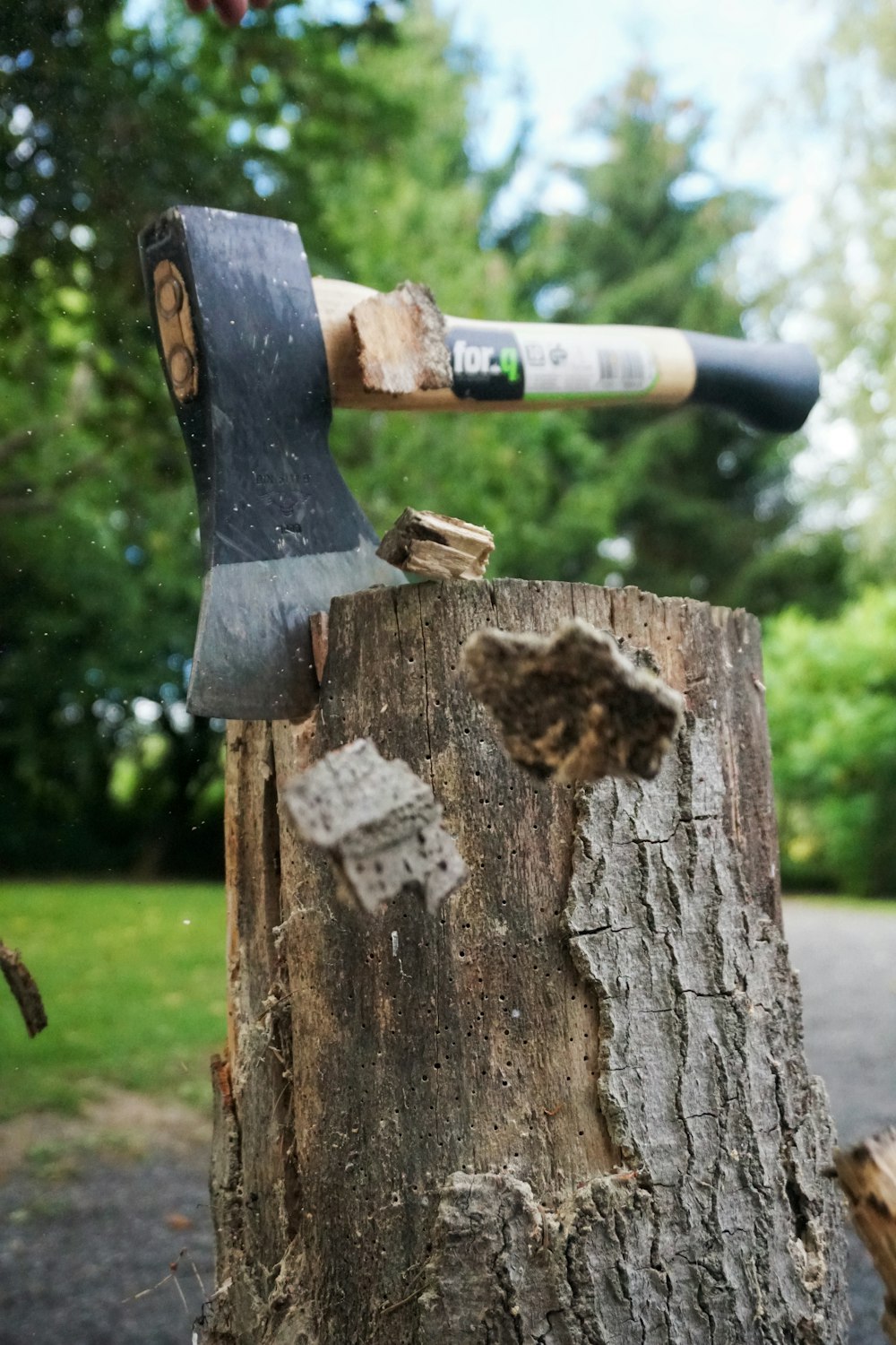 an old axe stuck in a tree stump