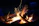 A close-up of a blazing Wendigo Designs firepit glowing under a starry night.