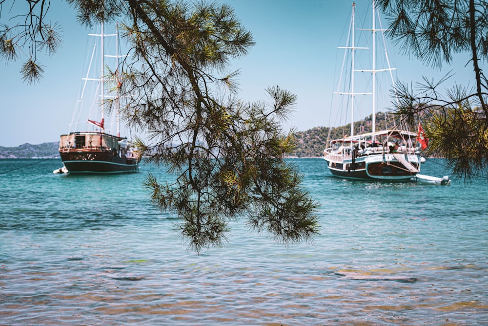 white and black boat on sea during daytime