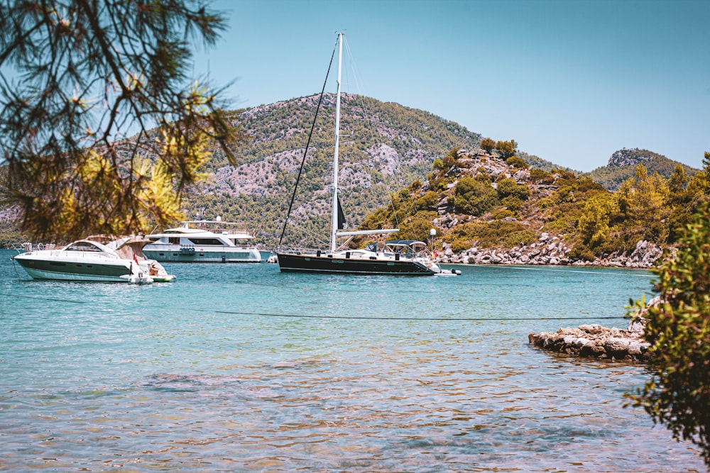 white and blue boat on sea near green and brown mountain under blue sky during daytime