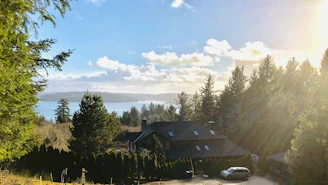 A serene view of Mila House nestled among lush green trees at sunrise.