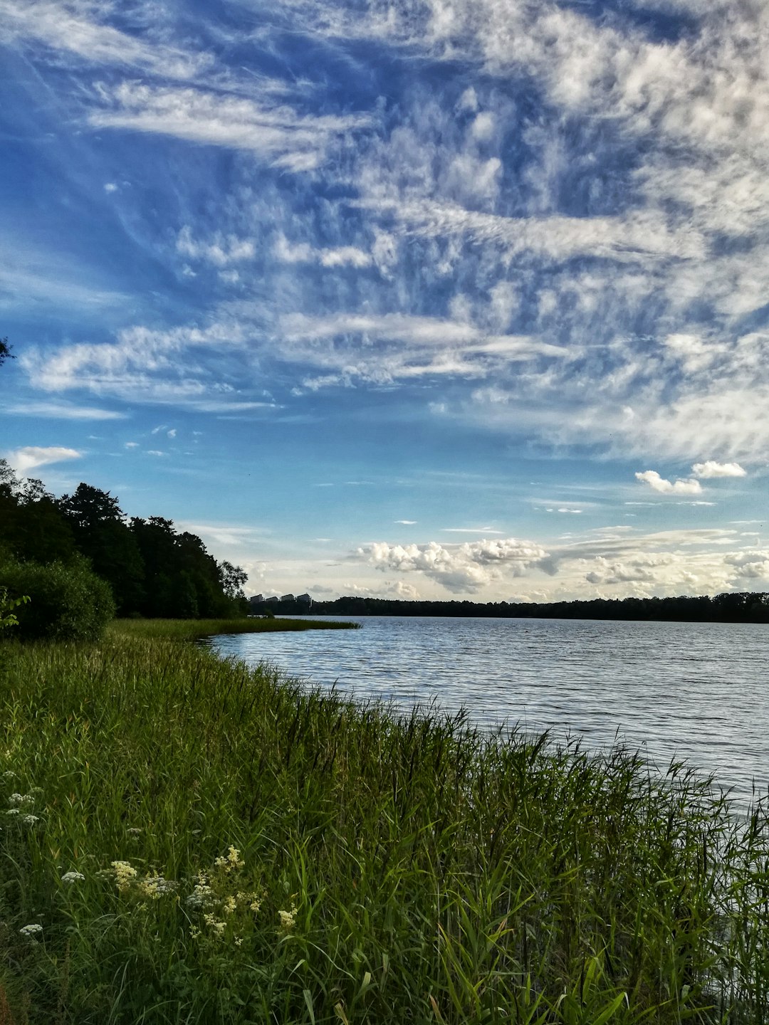 Nature reserve photo spot Växjö Nättraby