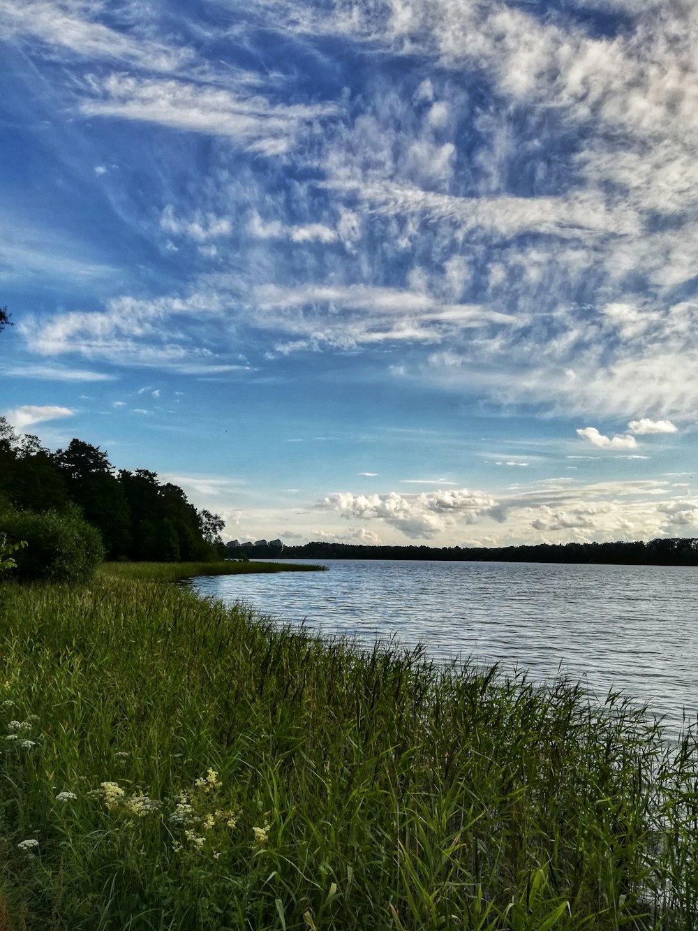 green grass field near body of water under blue and white cloudy sky during daytime