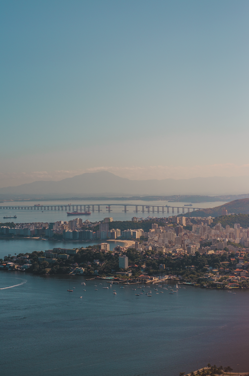 city skyline near body of water during daytime