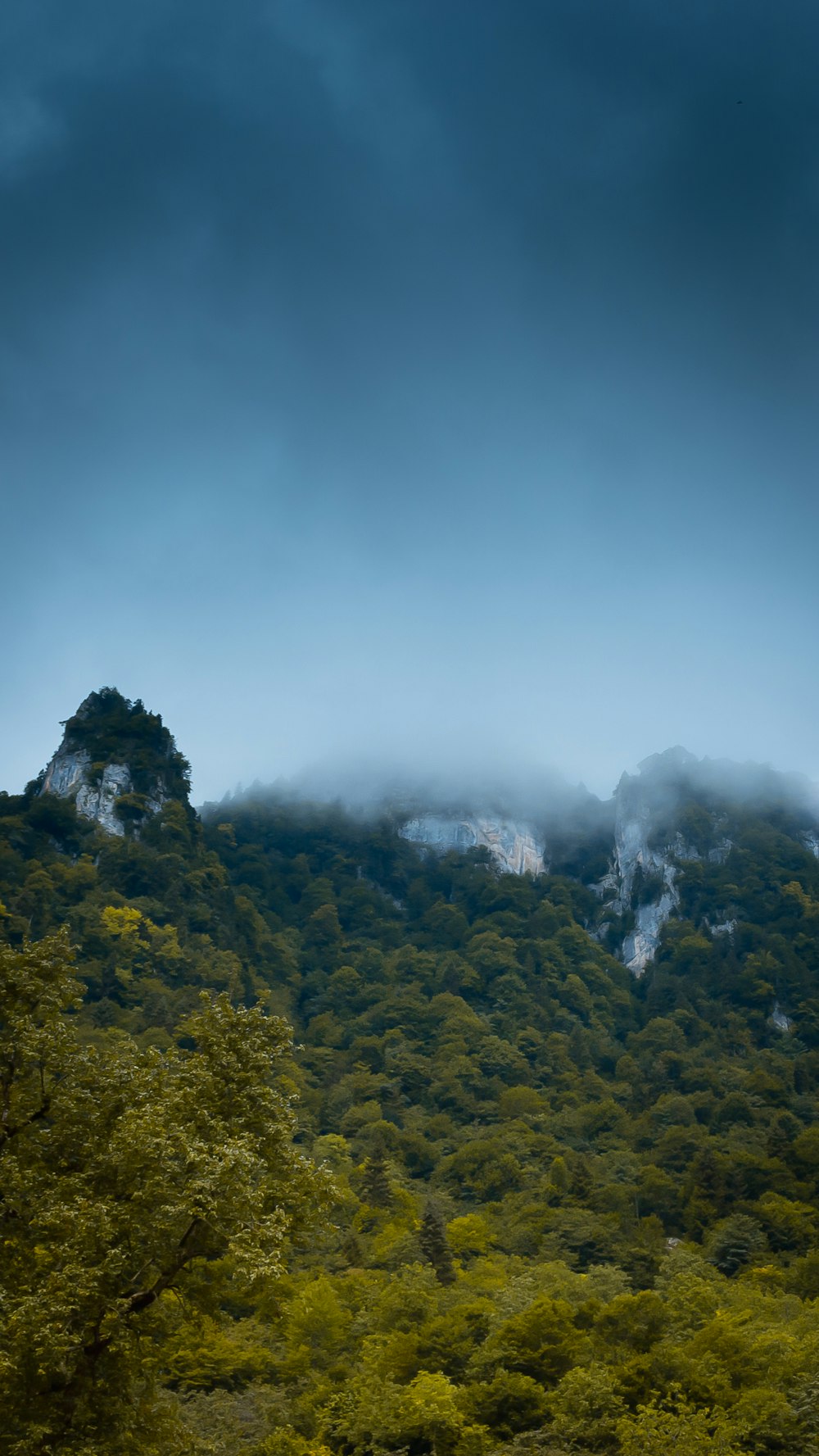 green trees on mountain under white clouds during daytime