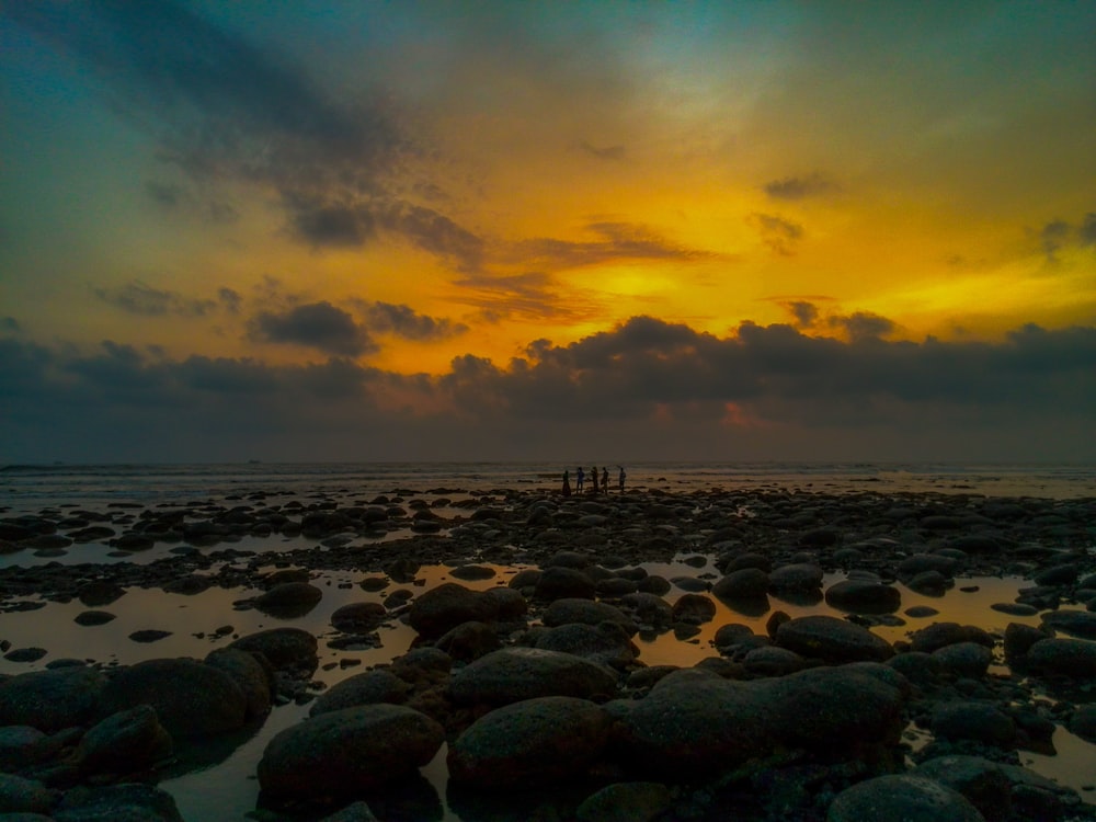 people on beach during sunset