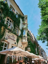 A charming European street scene featuring a building with lush green ivy cascading down its facade. The structure has ornate architectural details and a sign that reads 'Le Gruber' and 'HOTEL'. Beneath, white canopies cover outdoor seating where several people are dining and socializing. The atmosphere is lively and relaxed, accentuated by potted plants with red flowers.