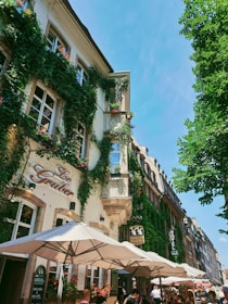 A charming European street scene featuring a building with lush green ivy cascading down its facade. The structure has ornate architectural details and a sign that reads 'Le Gruber' and 'HOTEL'. Beneath, white canopies cover outdoor seating where several people are dining and socializing. The atmosphere is lively and relaxed, accentuated by potted plants with red flowers.