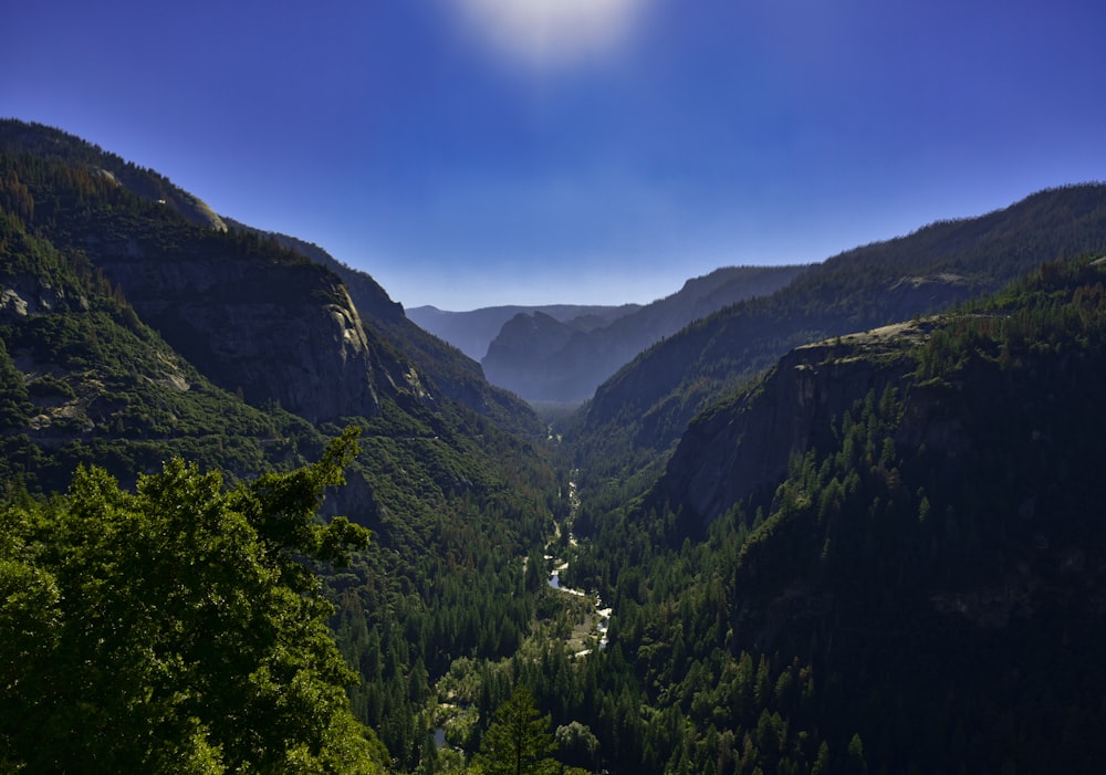 green trees on mountain under blue sky during daytime