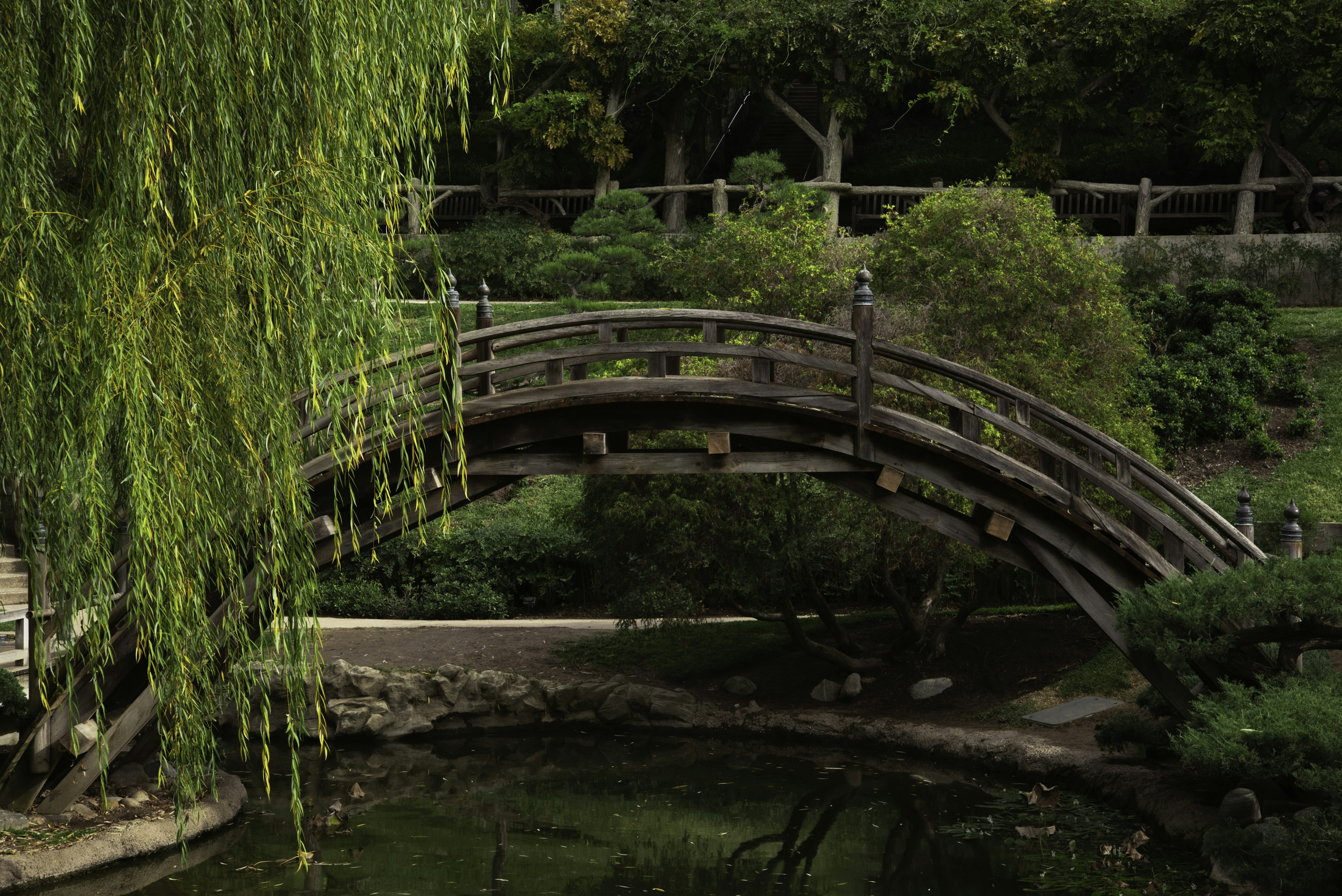 brown wooden bridge over river