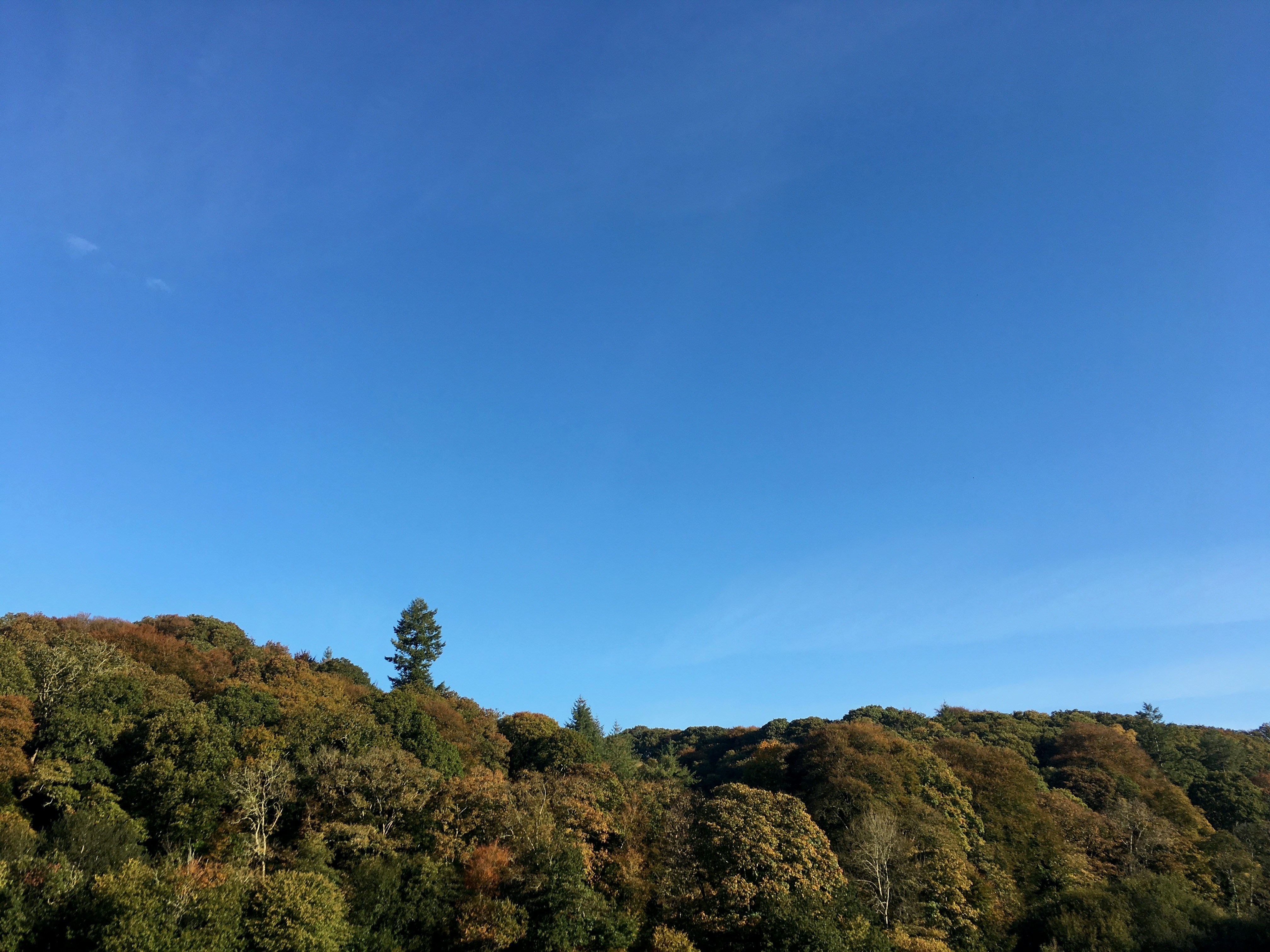 Photo by rich_lloyd_judd