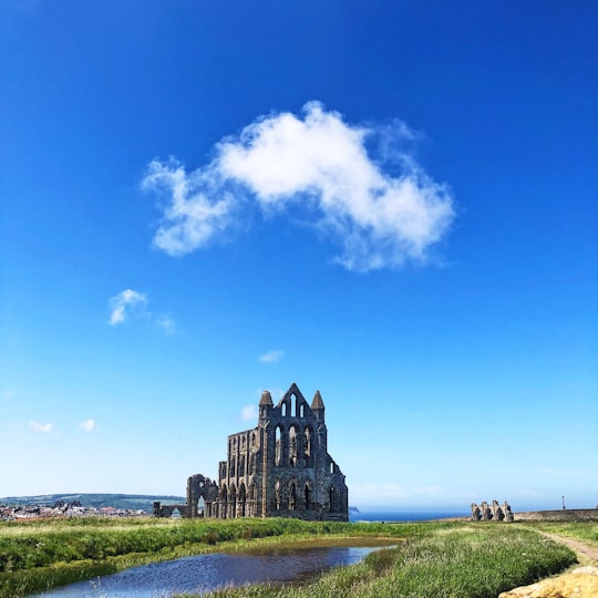 green grass field near building under blue sky during daytime in Whitby Abbey United Kingdom
