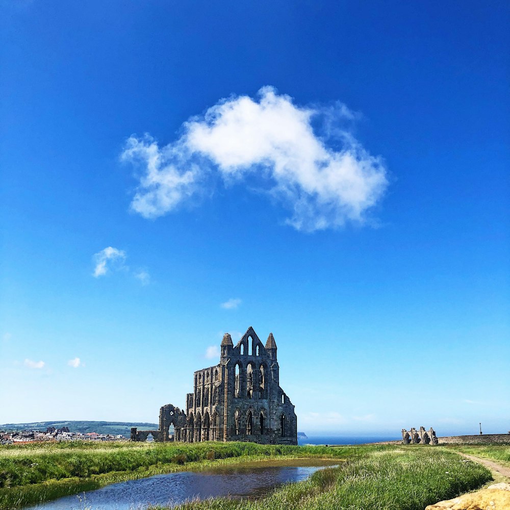 昼間の青空の下、建物近くの緑の芝生畑