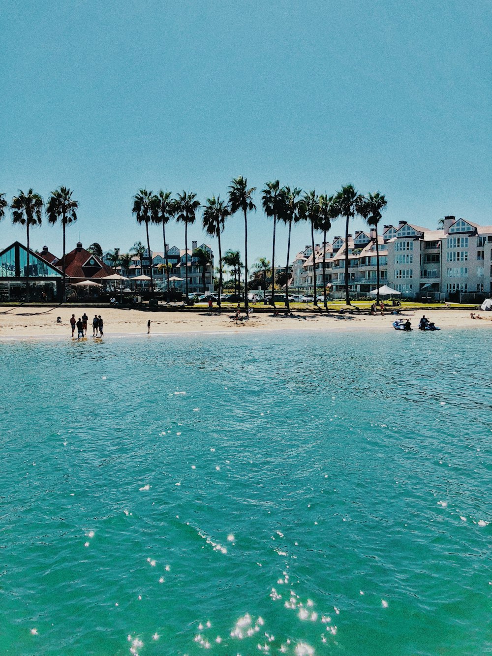 people on beach during daytime