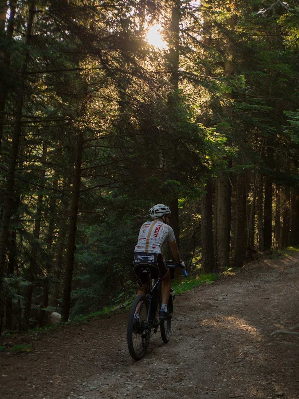 man in black and white helmet riding on bicycle in forest during daytime