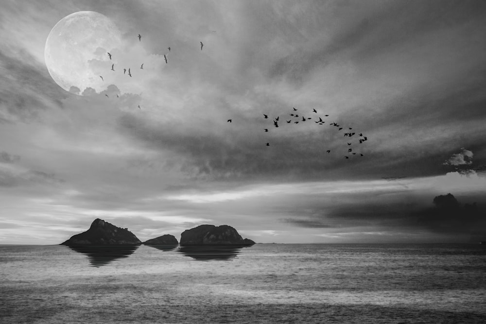 birds flying over the sea during daytime