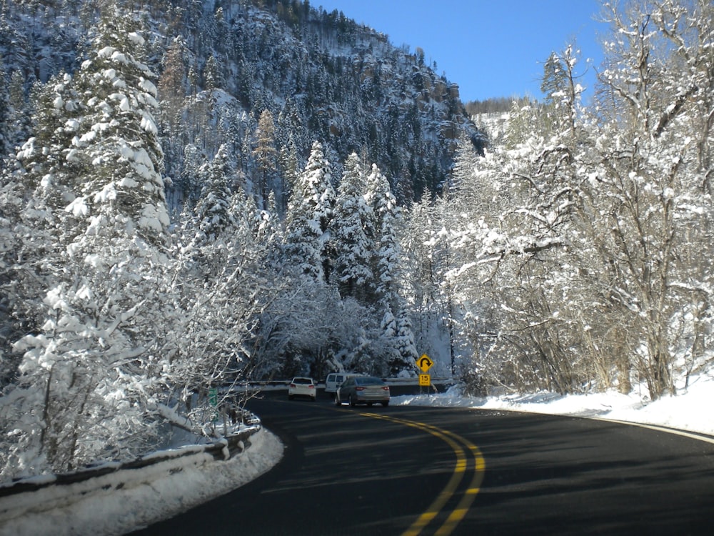 black asphalt road between snow covered trees during daytime