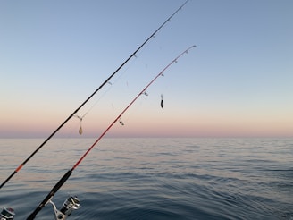 black and silver fishing rod on blue ocean water during daytime