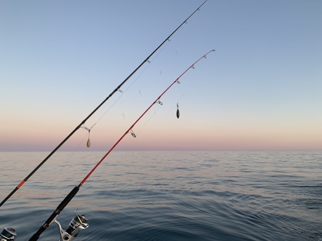 black and silver fishing rod on blue ocean water during daytime