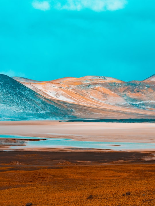 brown and gray mountains near body of water during daytime in Atacama Chile