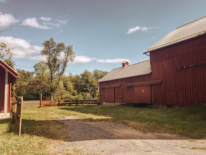 Wooden barn near green trees