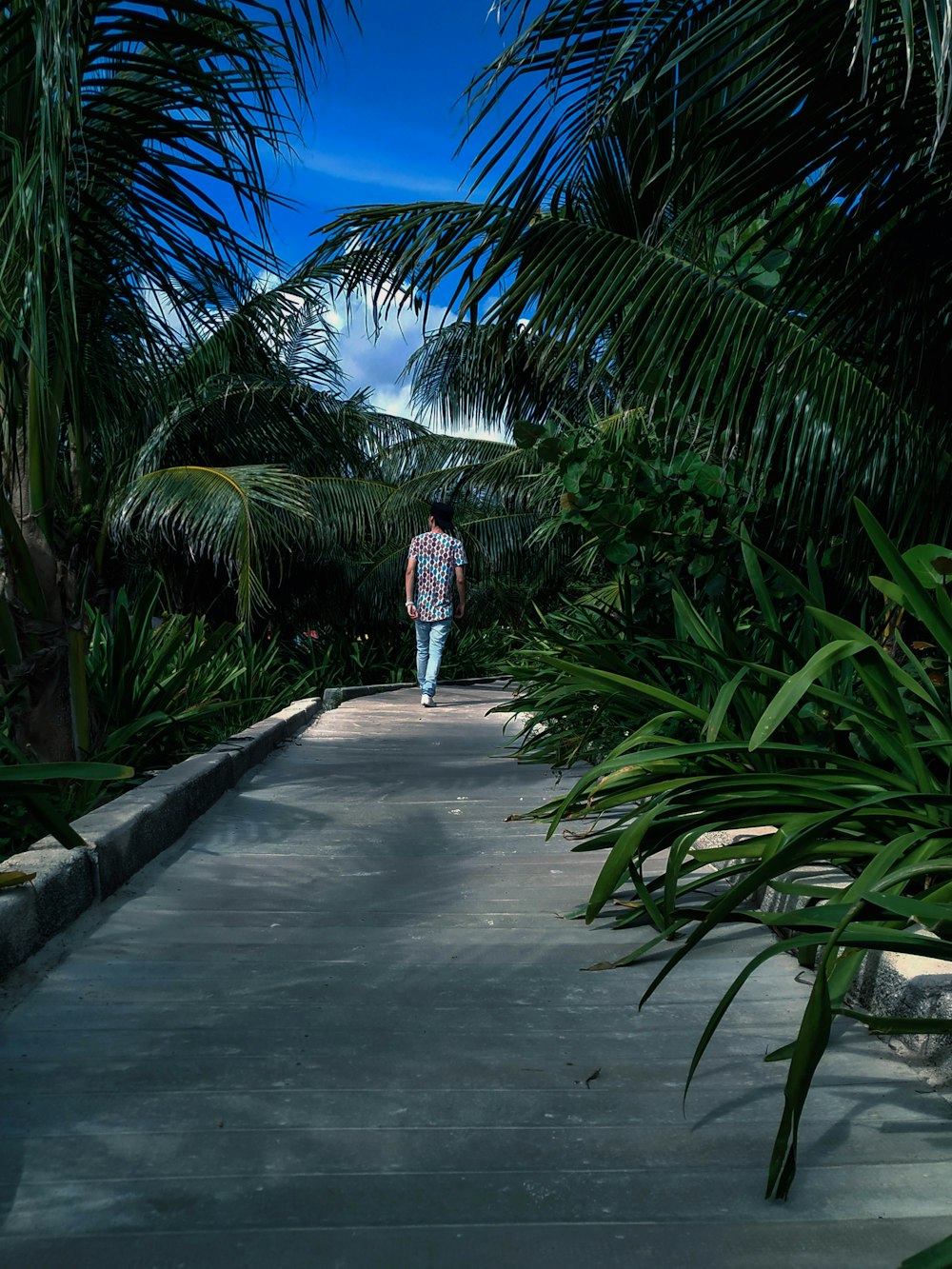 woman in white and black dress standing on gray concrete pathway between palm trees during daytime