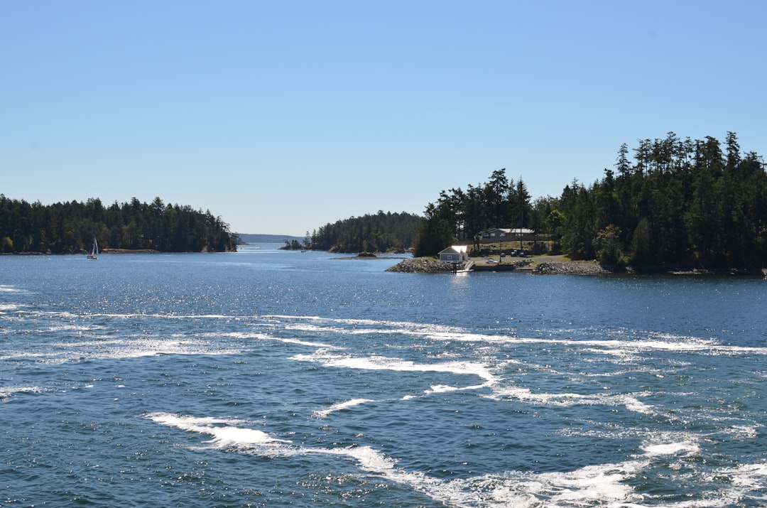 Reservoir photo spot Sidney Mayne Island