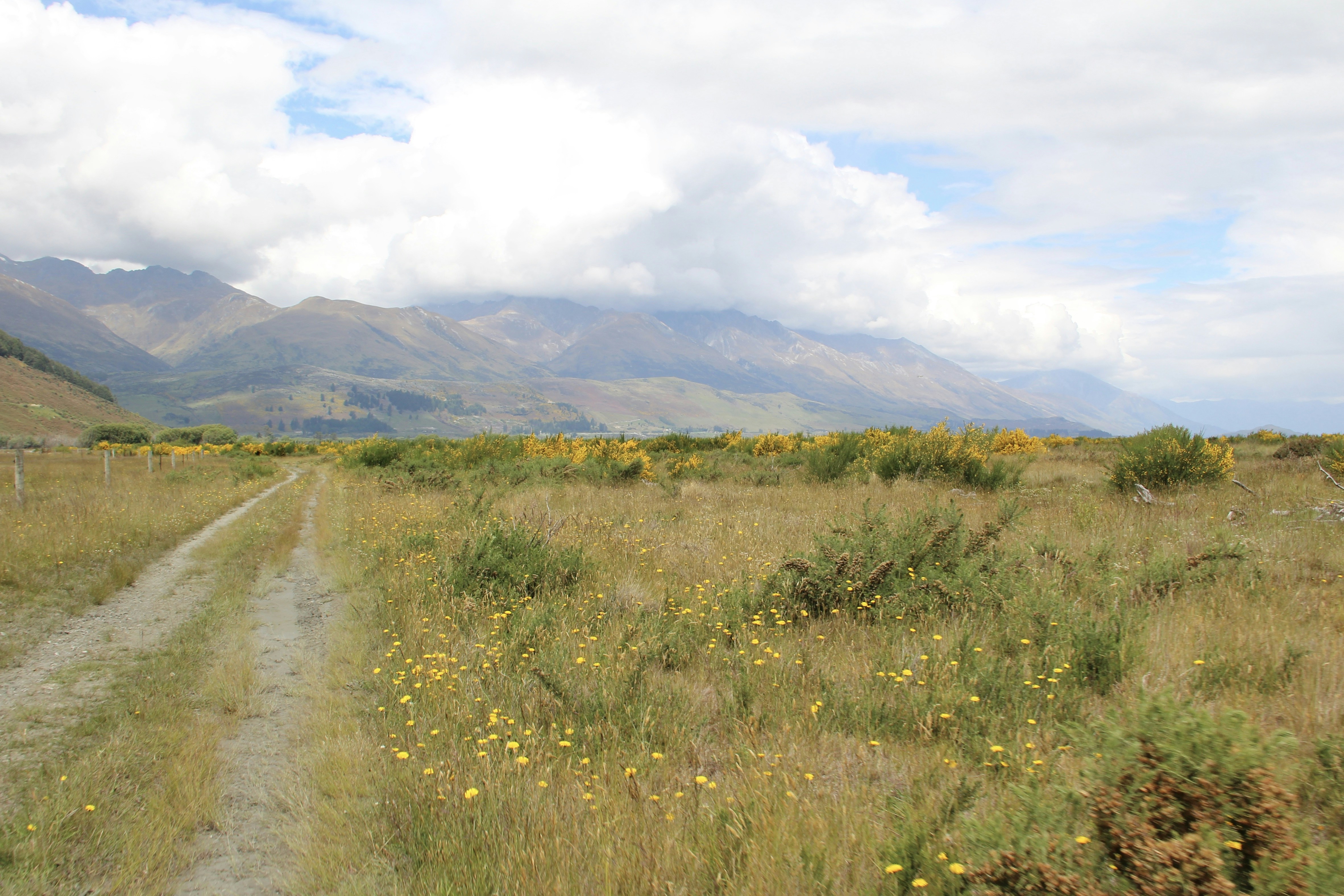 Image by Vera via Unsplash