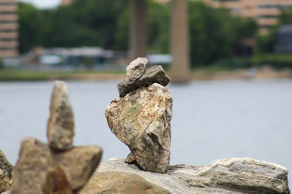 gray and brown rock near body of water during daytime