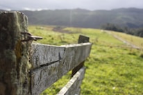 A rustic wooden fence in the foreground with nails protruding, set against a background of grassy fields and distant hills under a cloudy sky.