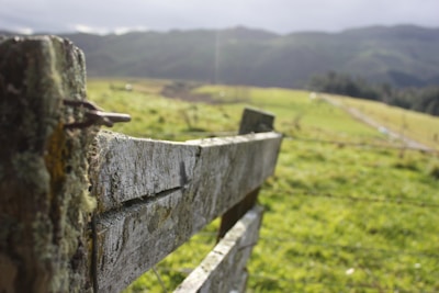 A rustic wooden fence in the foreground with nails protruding, set against a background of grassy fields and distant hills under a cloudy sky.