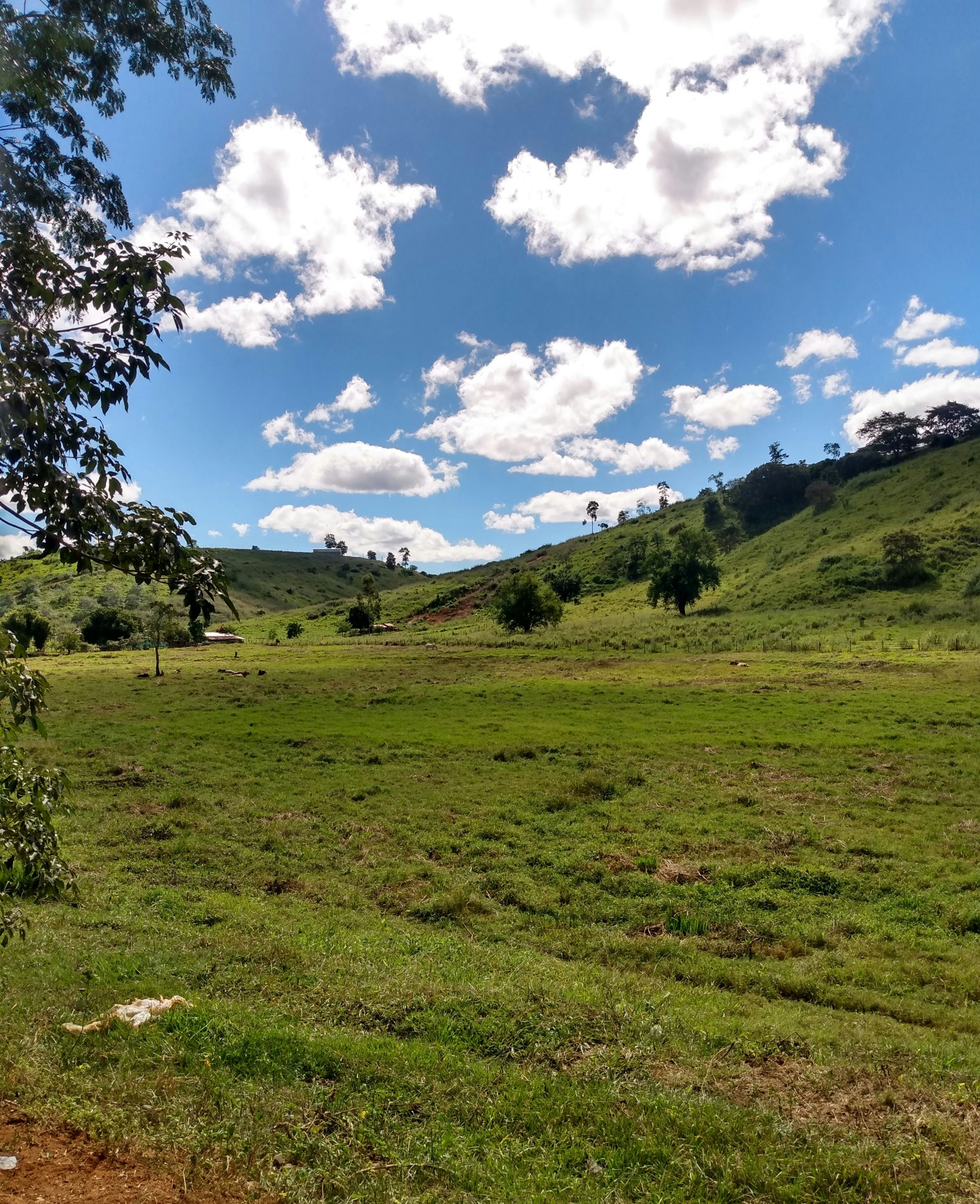 Photo by guicampos17