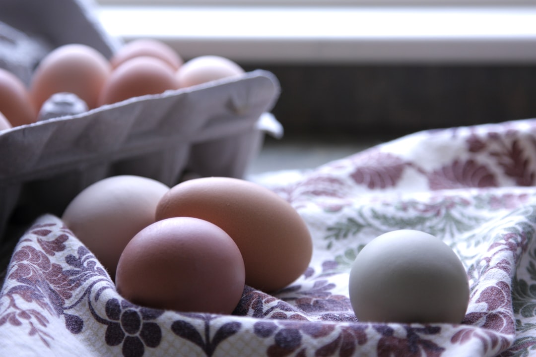 white egg on white plastic container