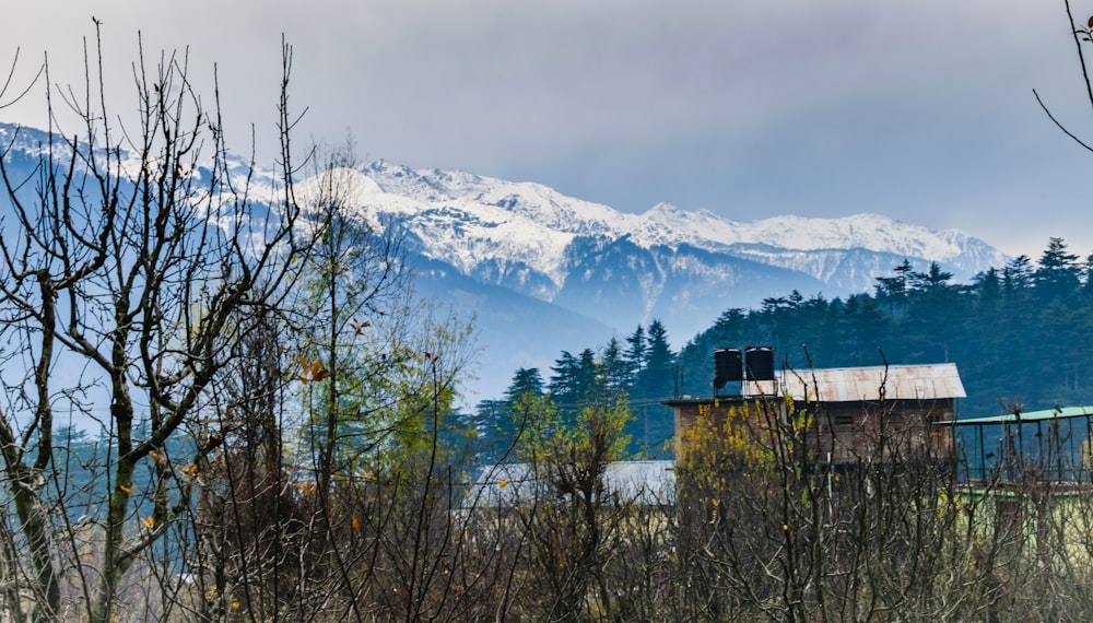 a house in the woods with a mountain in the background