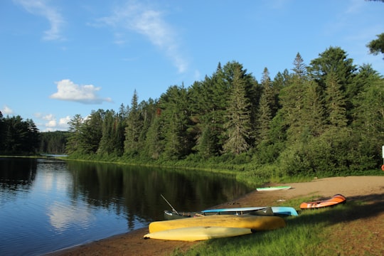 yellow kayak on lake near green trees under blue sky during daytime in Algonquin Park Canada