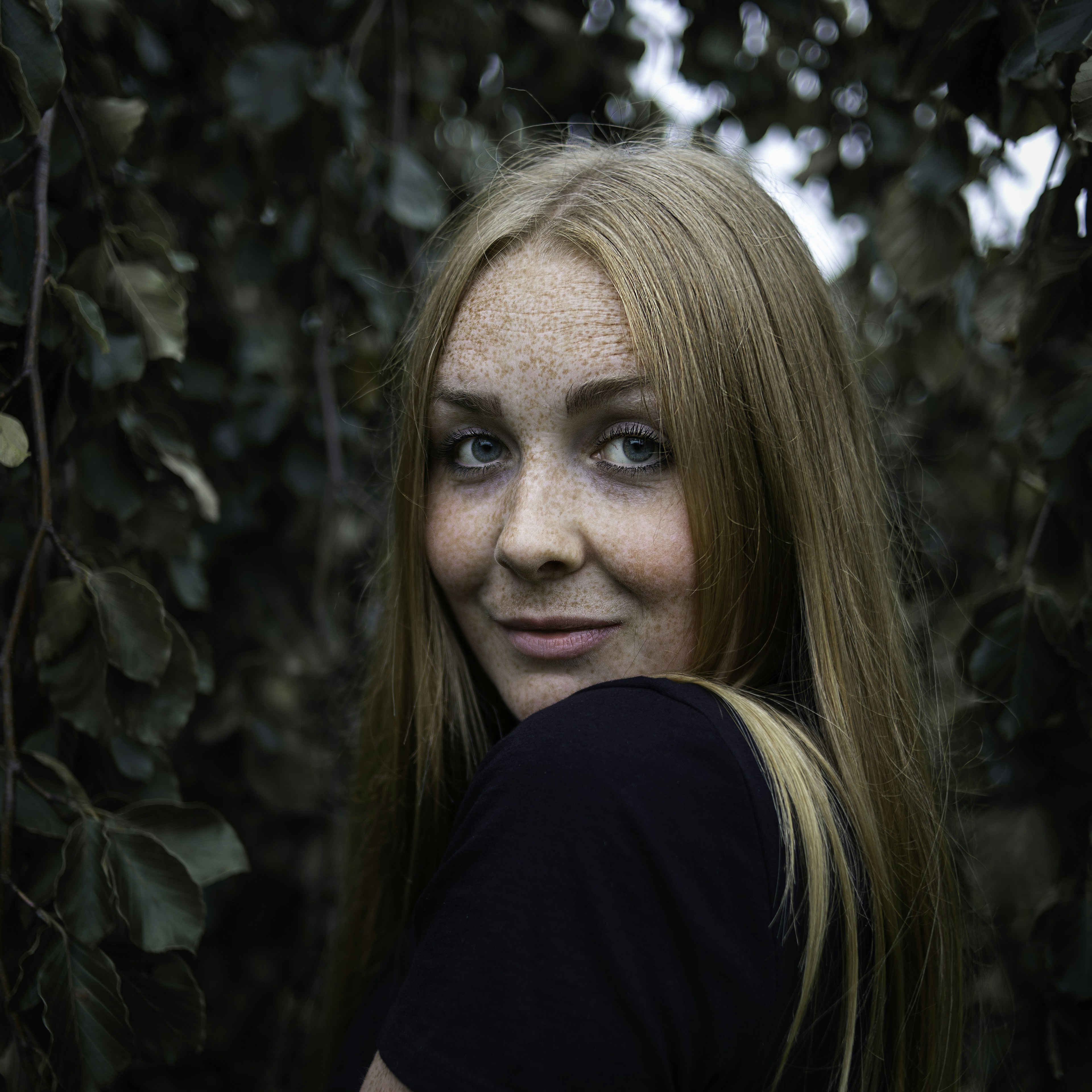 Photo by theshuttervision