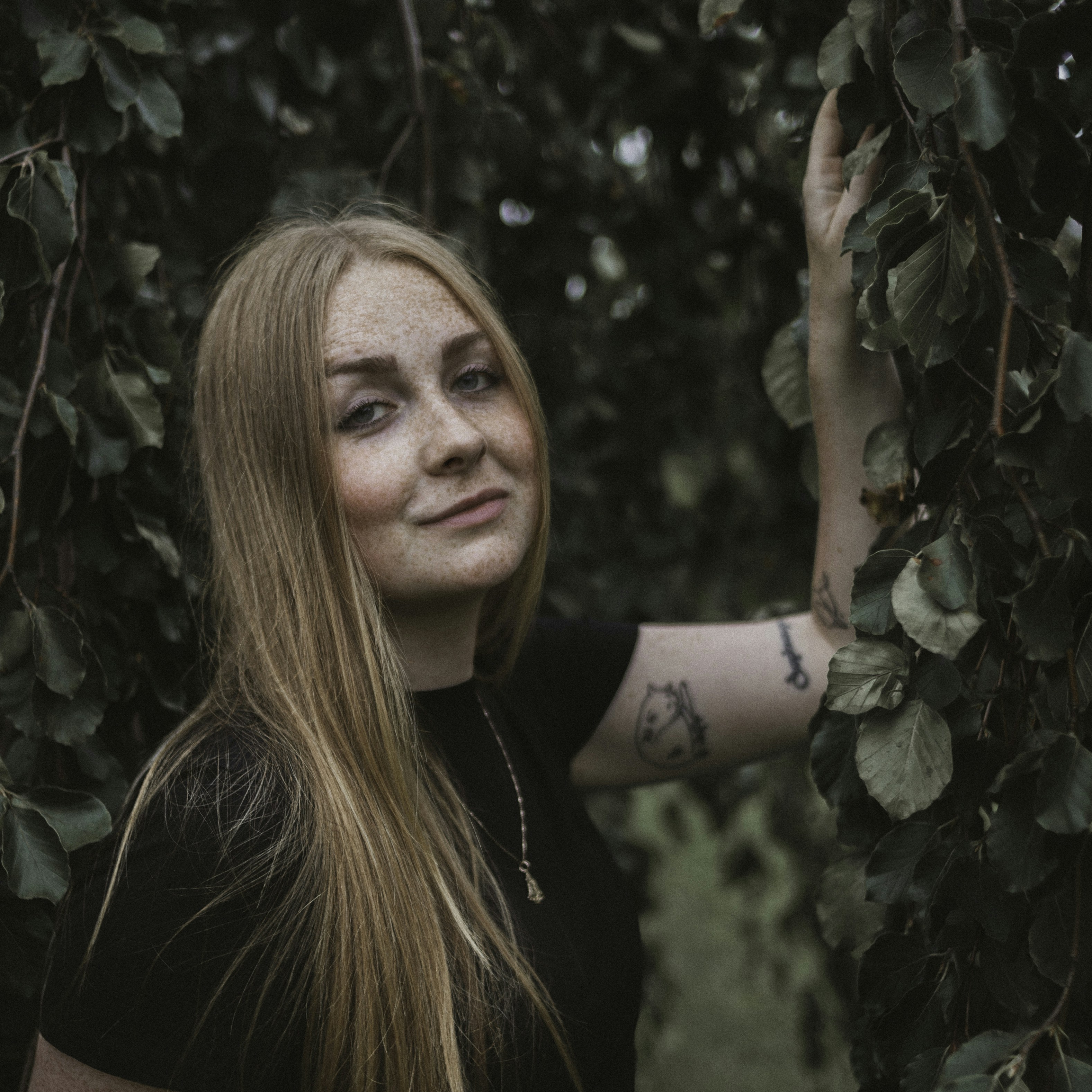 Photo by theshuttervision