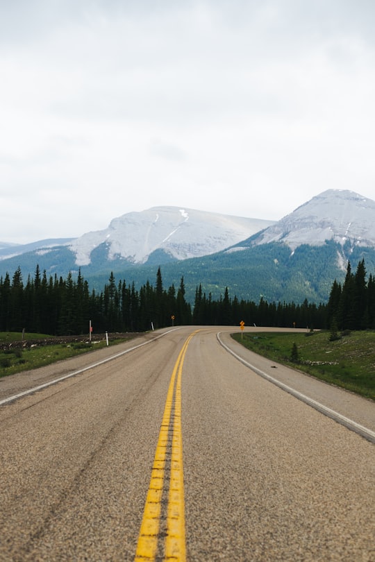 gray concrete road near green trees and mountain during daytime in Bragg Creek Canada