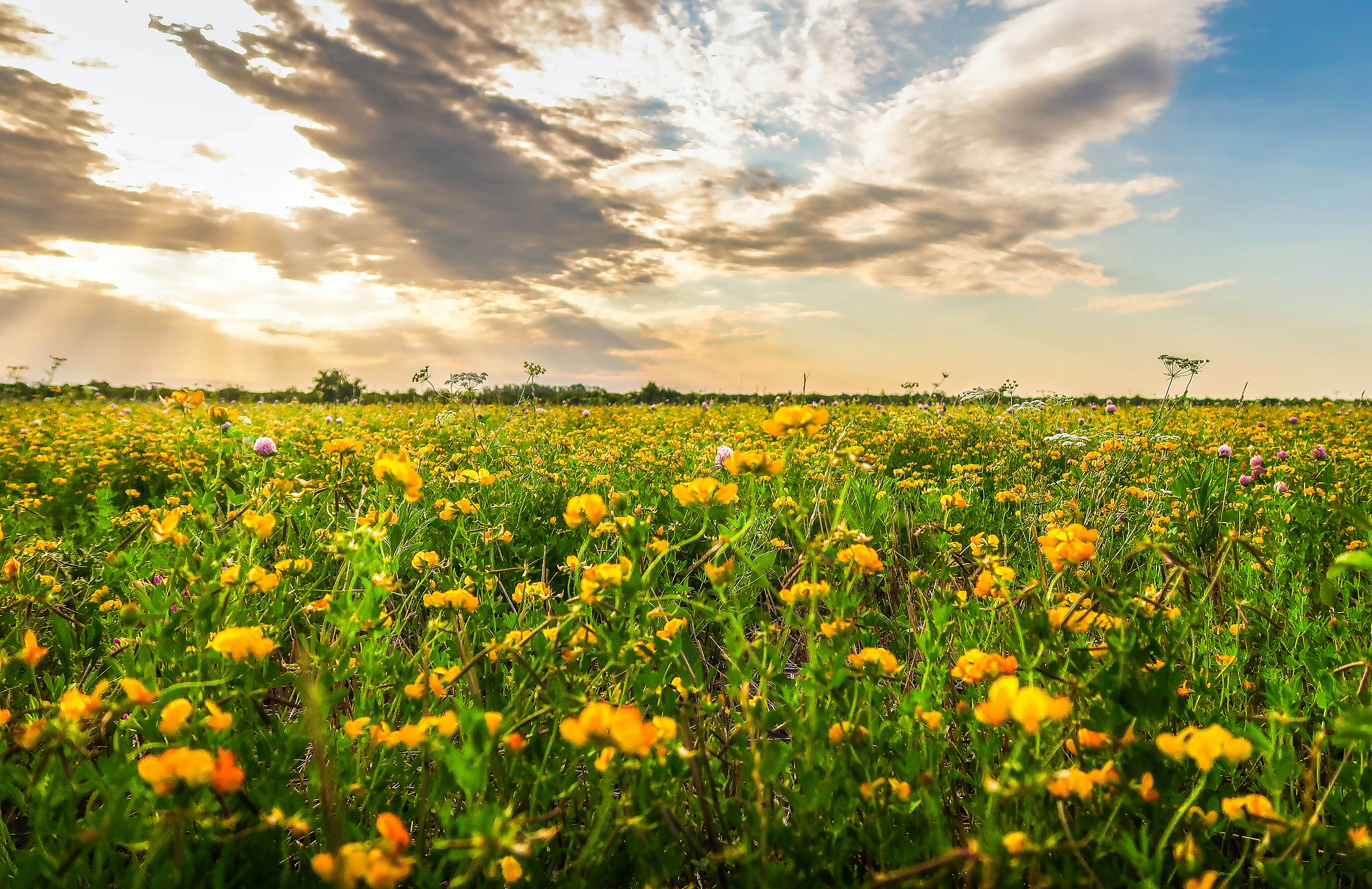 Photo by argentinanatural