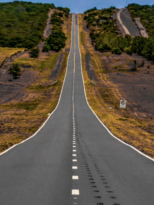 gray concrete road between green grass field during daytime in La Pampa Argentina