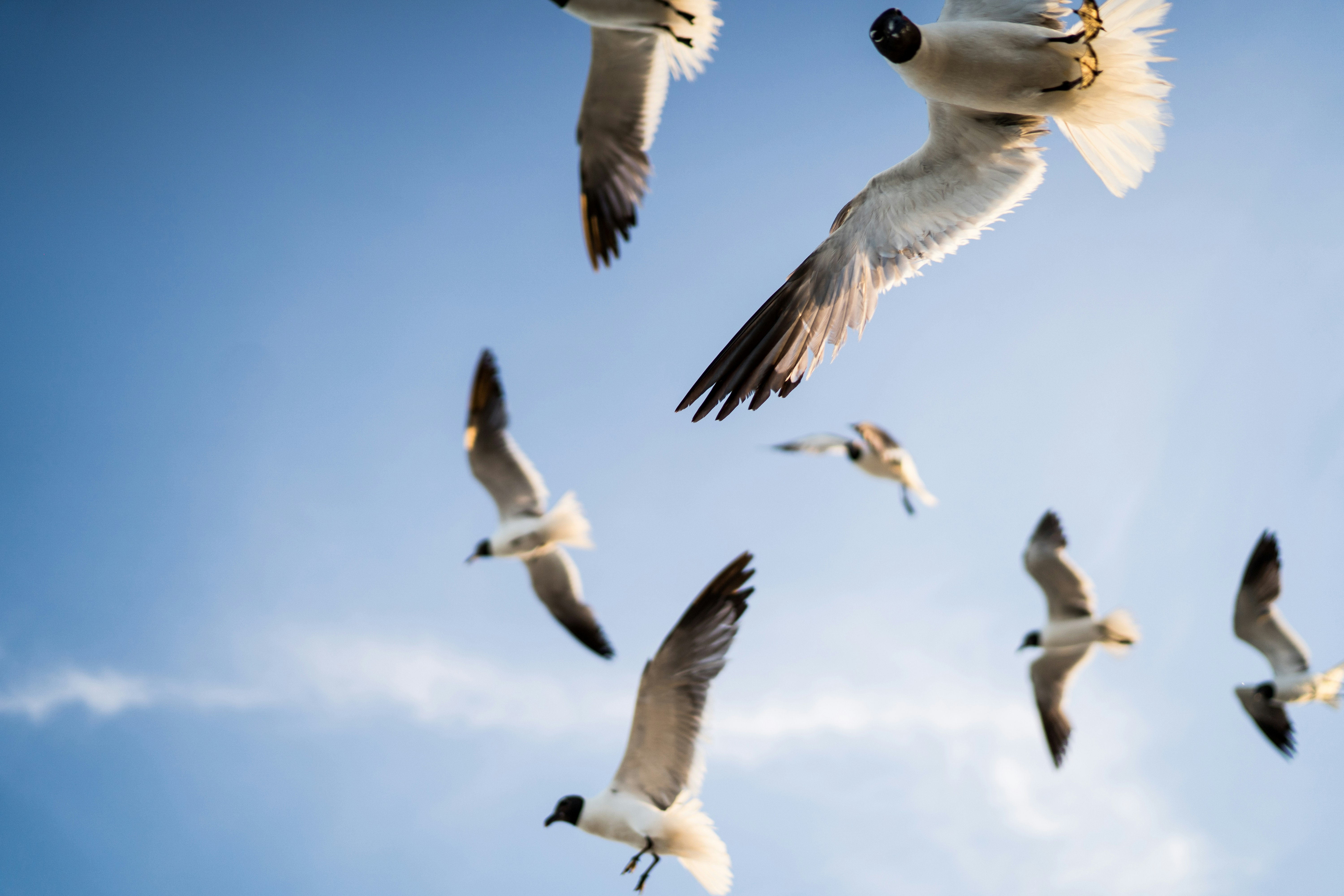 Photo by brittaniburns