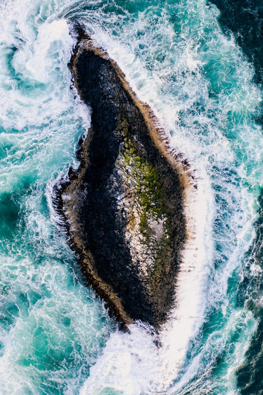 aerial view of ocean waves in Dunedin New Zealand