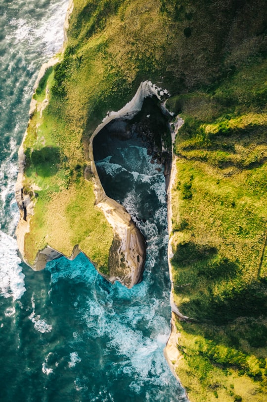 aerial view of green and brown island in Dunedin New Zealand