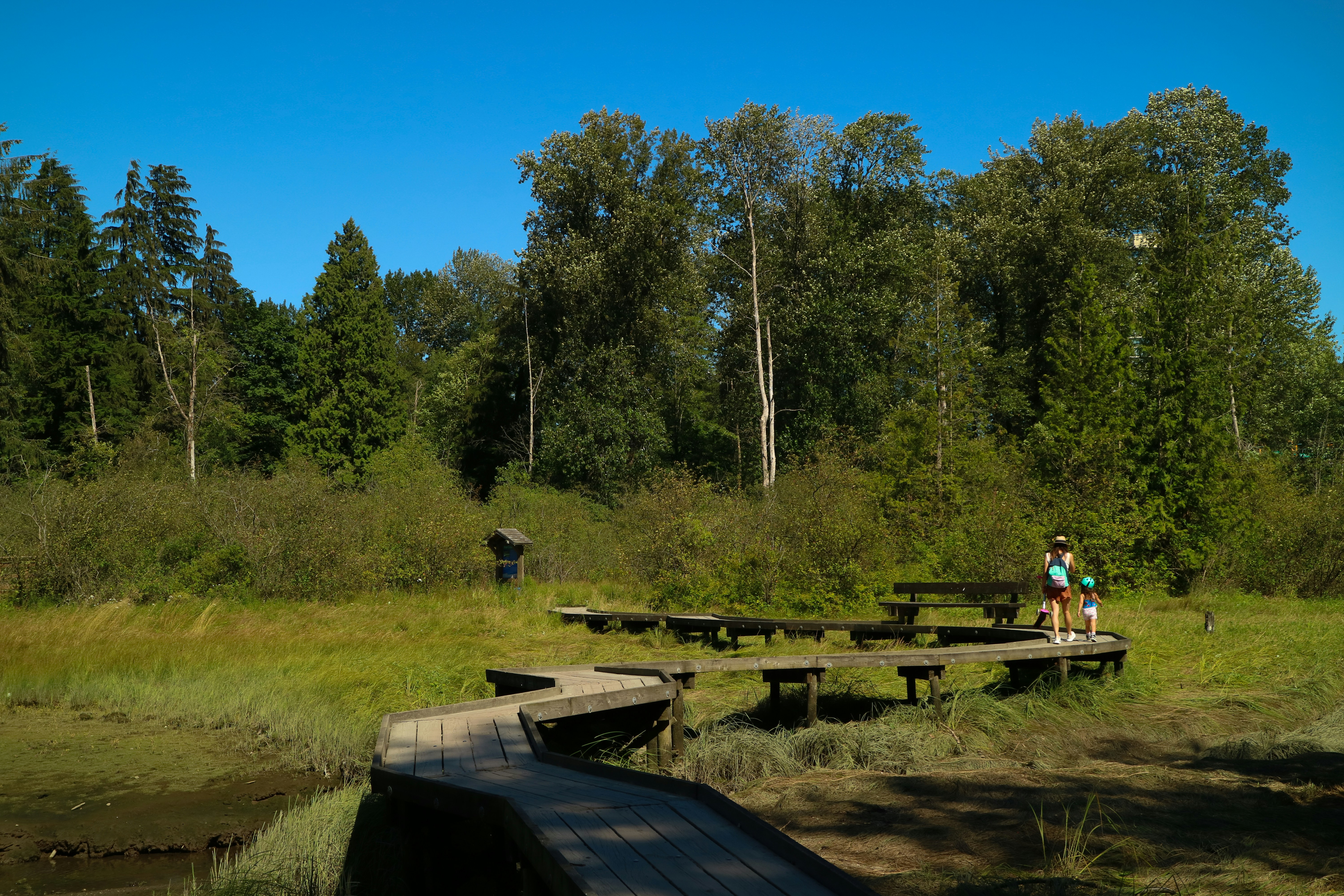 Swamp Poodle Park