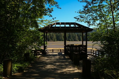A wooden gazebo structure on a boardwalk surrounded by lush green trees, with a view of a sandy area and dense forest in the background under a clear blue sky.