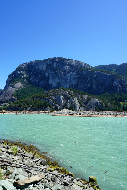 green and brown mountain beside body of water during daytime in Stawamus Chief Canada