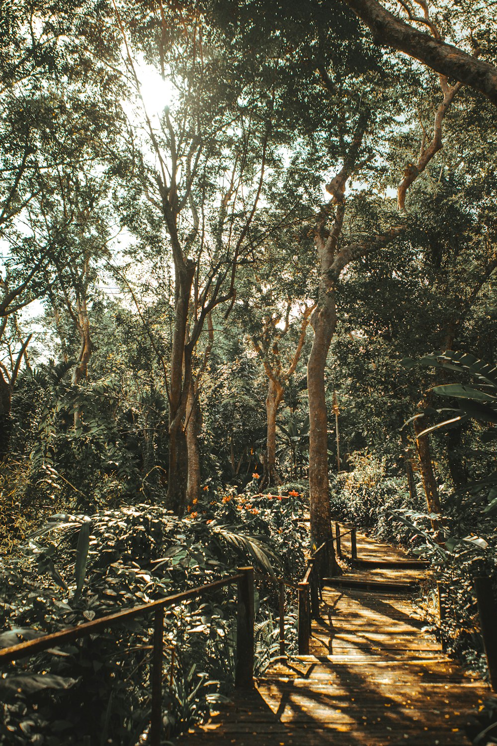 banco de madeira marrom sob árvores verdes durante o dia