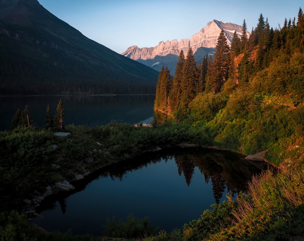 alberi verdi vicino al lago e alle montagne durante il giorno