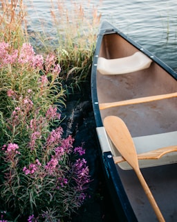 A canoe with a light-colored wooden paddle is positioned next to vibrant pink flowers and tall grass growing along a calm body of water. The serene setting suggests a natural and tranquil environment.