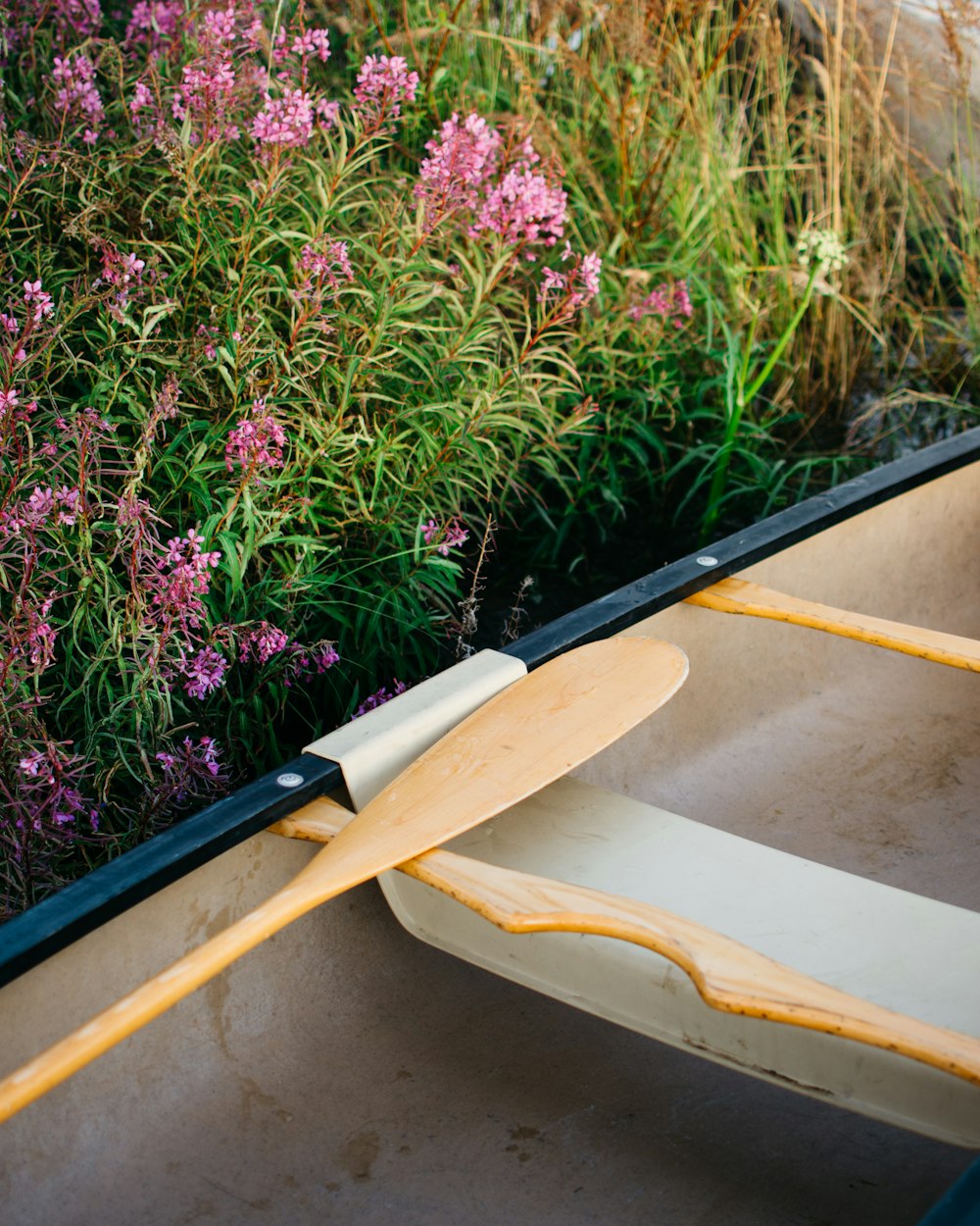 Braunes Holzboot auf grünen und violetten Pflanzen